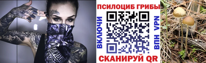 Псилоцибиновые грибы Psilocybine cubensis  купить наркоту  это наркотические препараты  Берёзовский 